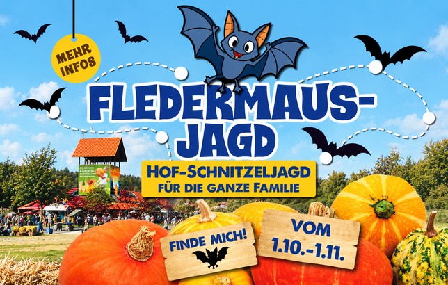 Fledermaus Jagd
